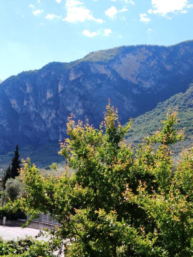 Casa Akira Διαμέρισμα Ρίβα ντελ Γκάρντα Εξωτερικό φωτογραφία